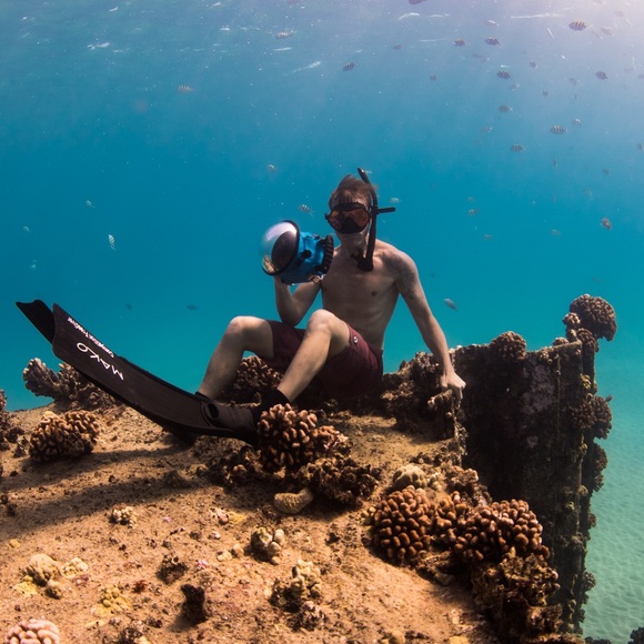 Hi, I’m Peter! - Picture 4 of 4